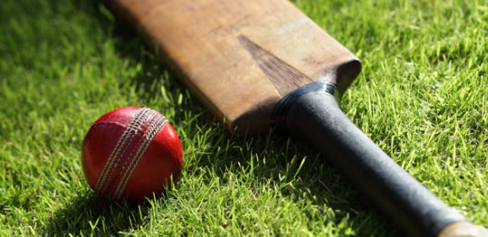Drug discovery workshop India 2015 - cricket match